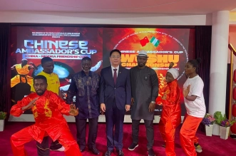 Wushu Idije